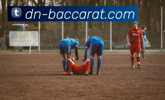 百家乐官网平台生态图